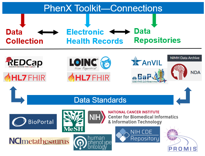Contains images of standards (LOINC, SnowMed CT, HL7 FHIR), ontologies (MeSH, Human Phenotype Ontology, Bio Portal), common data elements (NIH CDE Repository, National Cancer Institute), data collection tools (REDCap), repositories (dbGap), and resources (NIH NIEHS, Medical Data Models, NCI Meta Thesauraus) that are connected to the PhenX Toolkit.