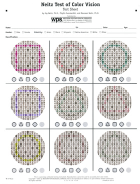 Figure 1. Example of Neitz Test