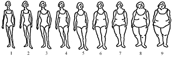 Body Image Satisfaction Survey Body Image Satisfaction Survey