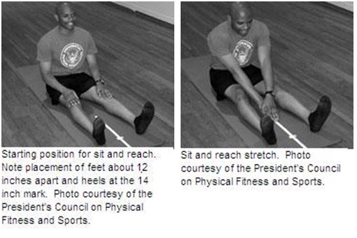 sit and reach test with tape measure