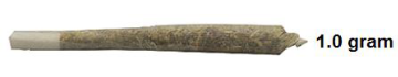 This is a picture of cannabis