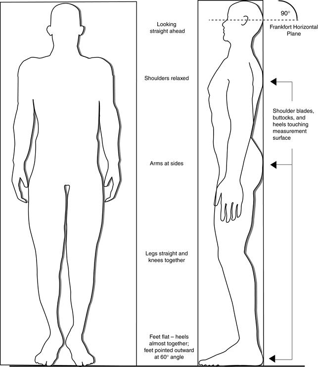  Exhibit 2. Body Orientation for Standing Height Measurement and Frankfort Horizontal Plane