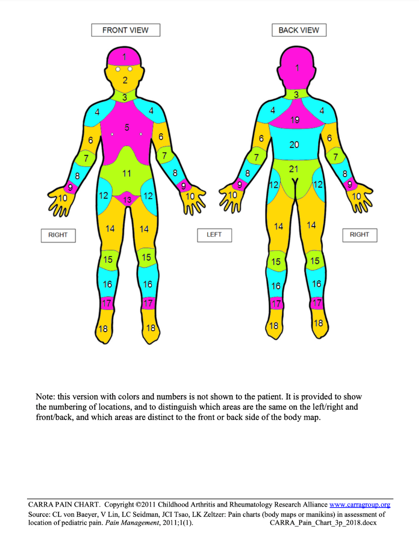 CARRA pain chart colored